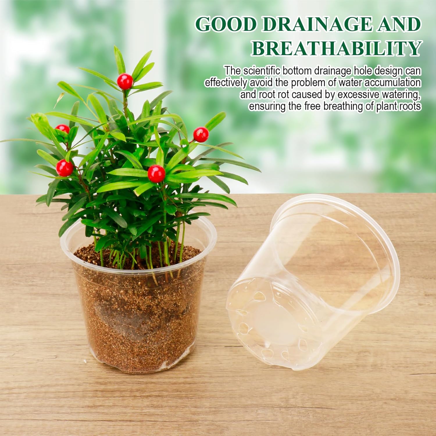 Clear Nursery Pots with Drainage Holes-36 Pack 3/4/5Inch Transparent Plastic Plant Pots for Seed Starting, High Visibility Root Growth Monitoring&50Plant Labels (Transparency-no Lid, 3/4/5in-36p) - Hình 4