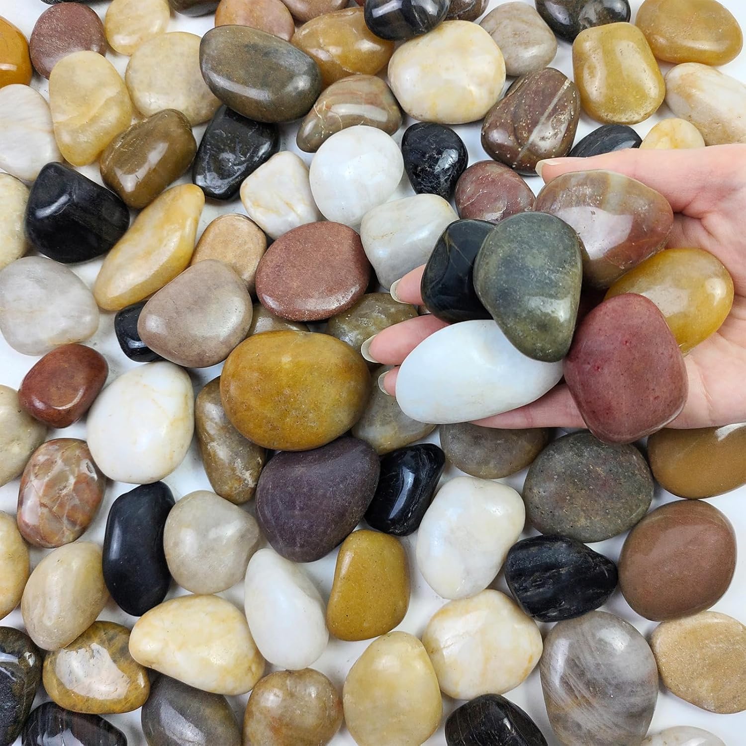 FANTIAN 2 lbs Pebbles for Plants, 1-2 inch Polished River Rocks for Plants Indoor Aquarium Terrarium, Stones for Planters Vase Landscaping and Outdoor Yard Decorative Stones - Amazon.com: FANTIAN 2 lbs Pebbles for Plants, 1-2 ...