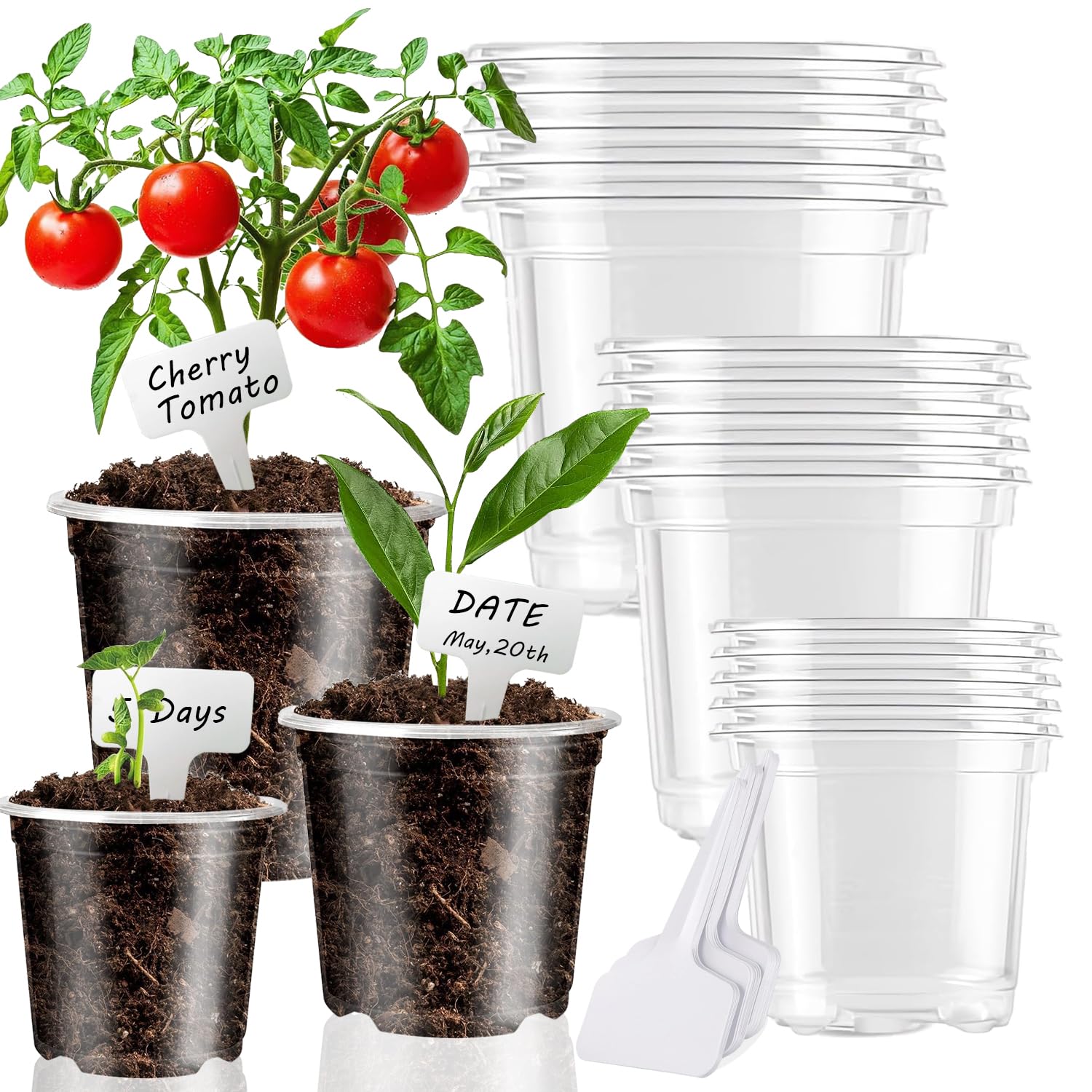 MAFONE Clear Nursery Pots 5/4/3.5 Inch, Plastic Seed Starter High Transparency Plastic Seedling Plant Pot with Drainage Holes15 Labels (15Pcs) - Amazon.com: MAFONE Clear Nursery Pots 5/4/3.5 Inch...