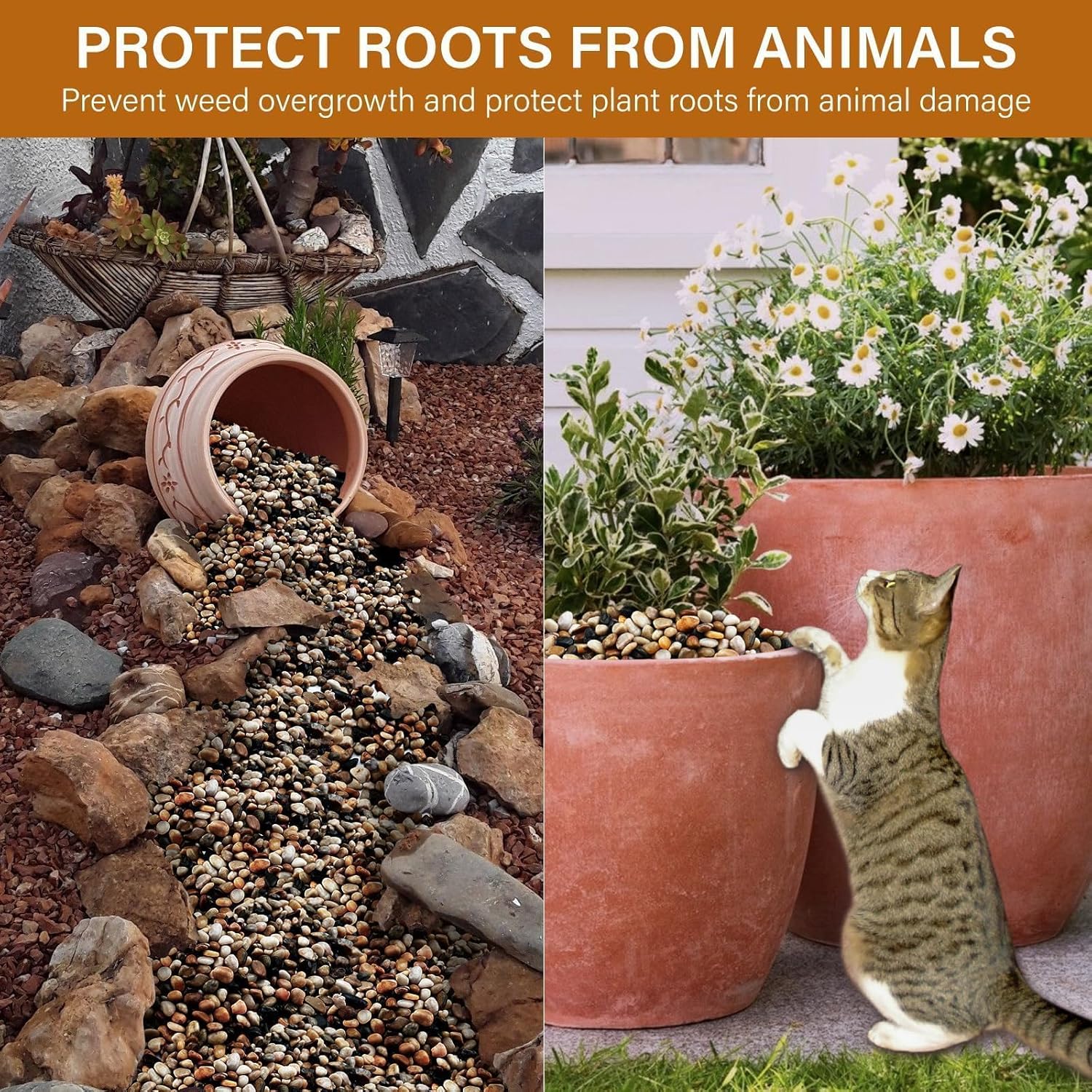 NUPICK 3lb River Rocks for Plants Indoor, 3/8 Inch Mixed Pebbles for Vase Fillers, Decorative Pea Gravel for Fish Tank, Natural Polished Stones for Succulent, Bonsai, Landscaping, Bird Baths - Hình 5