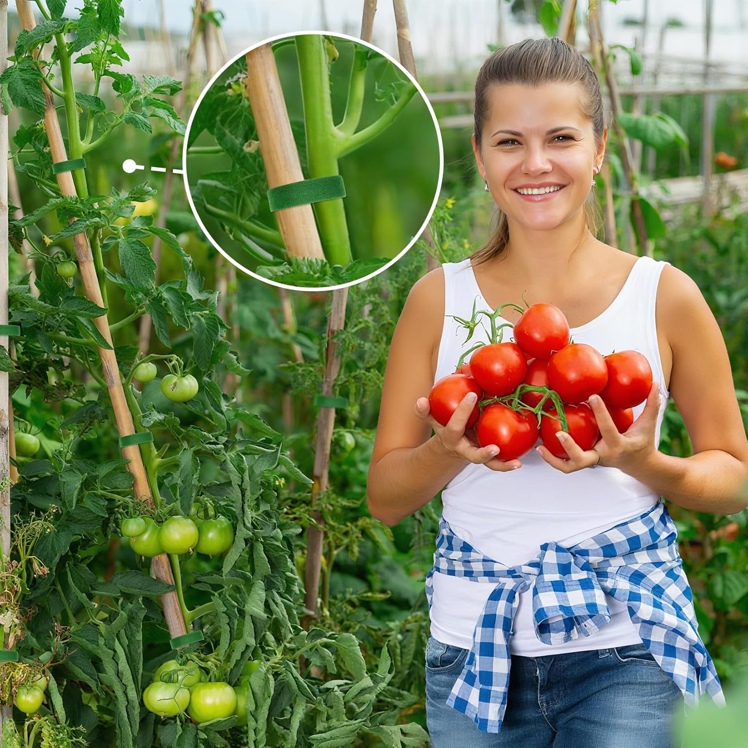 MAQIHAN Plant Tape - 1 Roll Plant Supports for Growing Reusable Adjustable Cut-to-Length 0.47 in x 32.8 ft Indoor Outdoor Use Ideal for Gardening, Tomato, Rose Bushes, Fruit Trees, Green - Hình 2