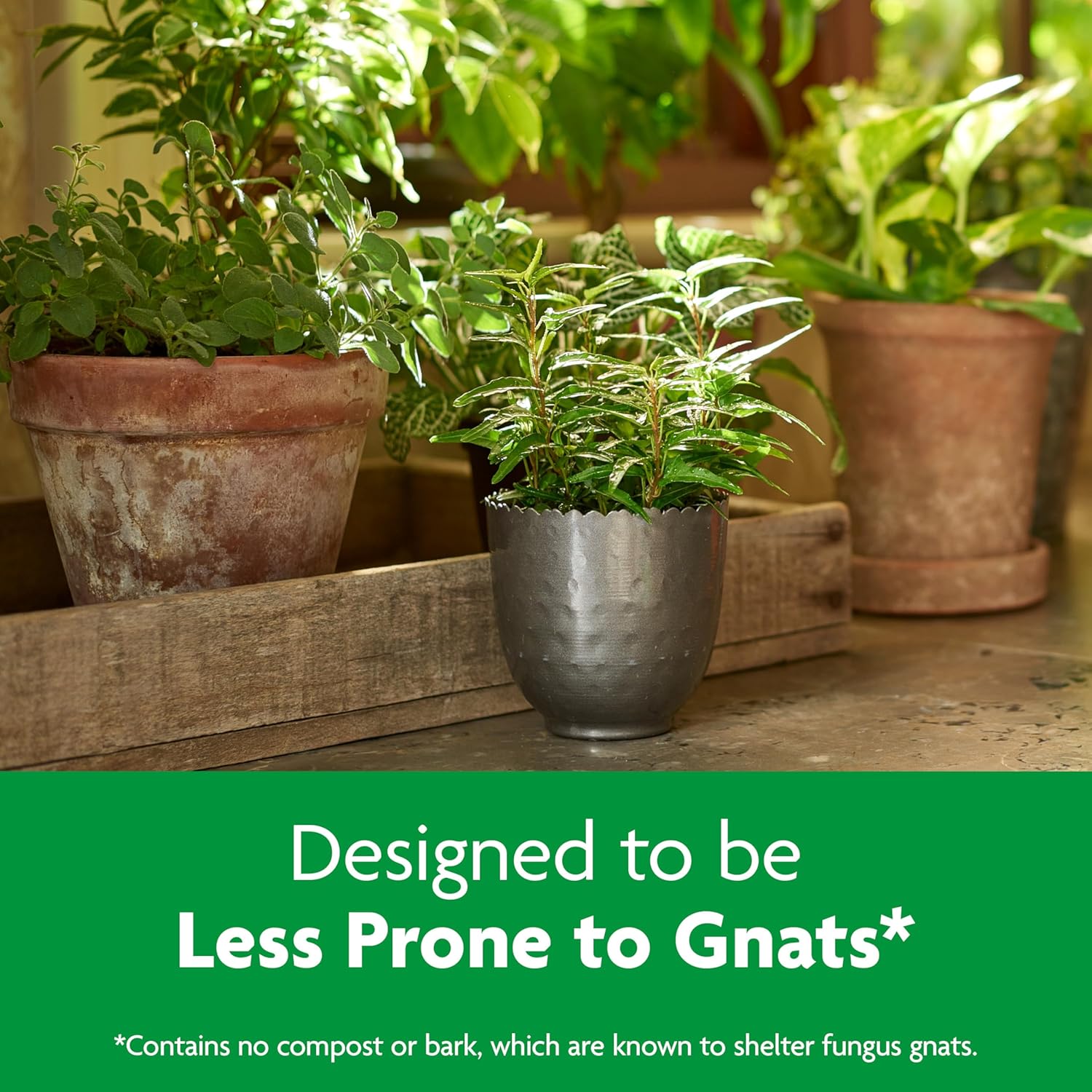 Miracle-Gro Indoor Potting Mix, Blended for a Variety of Houseplants, Feeds for up to 6 Months, 6 qt., 2-Pack - Hình 6