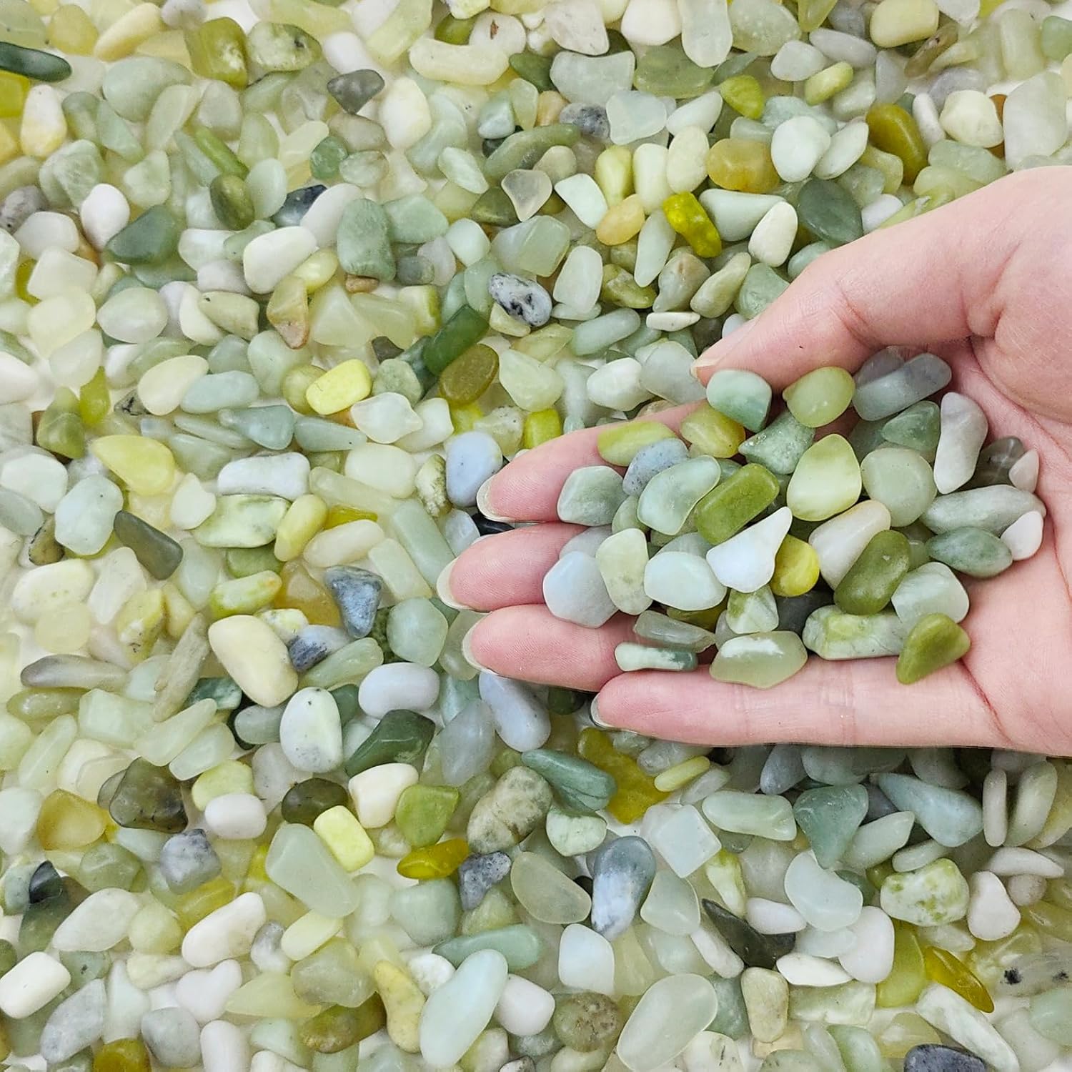 FANTIAN 2 lbs Jade Rocks for Plants Indoor, 3/8 inch Small Pebbles for Indoor Plants, Decorative Rocks for Succulents Cactus Bamboo Vases Landscaping Drainage and Outdoor Garden Rocks - Amazon.com : FANTIAN 2 lbs Jade Rocks for Plants I...