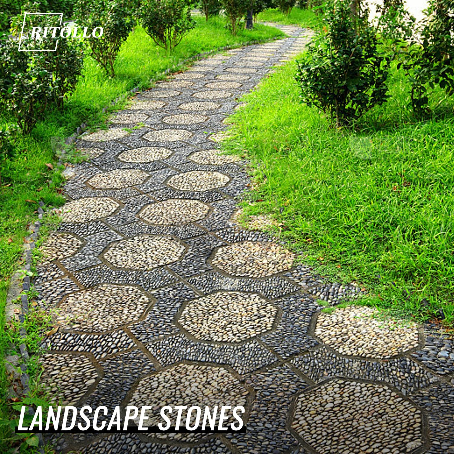 RITOLLO River Rocks Pebbles for Indoor Plants 3/8-1 Inch Natural Aquarium Gravel Decorative Fish Tank Rocks Garden Landscaping Decor - Hình 6