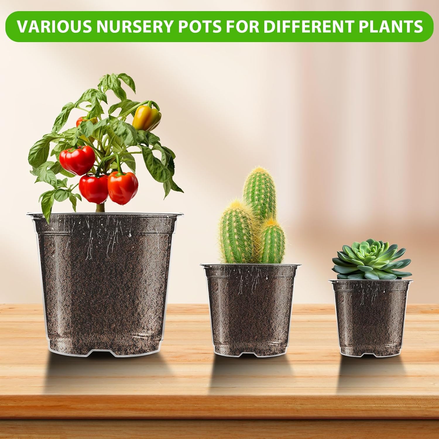 Clear Nursery Pots for Plants, 3.5/4/5 inch Plastic Plant Flower Pot with Drainage Holes High Transparency Seedling Planter for Seed Starter (36PCS) - Hình 7