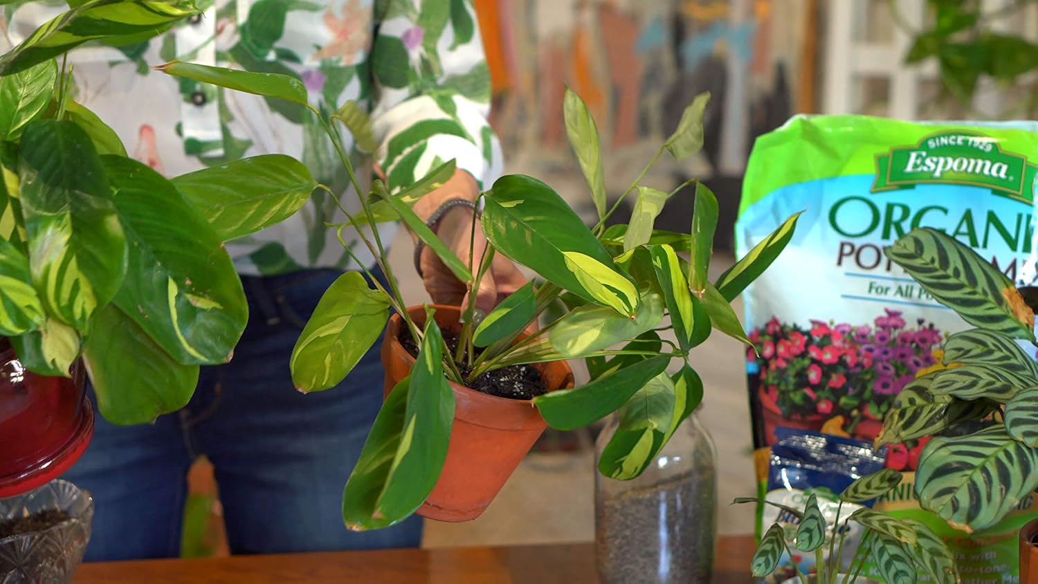 Espoma Organic Potting Soil Mix - All Natural Potting Mix For All Indoor & Outdoor Containers Including Herbs & Vegetables. For Organic Gardening, 1 Cubic Foot. bag. Pack of 1 - Hình 6