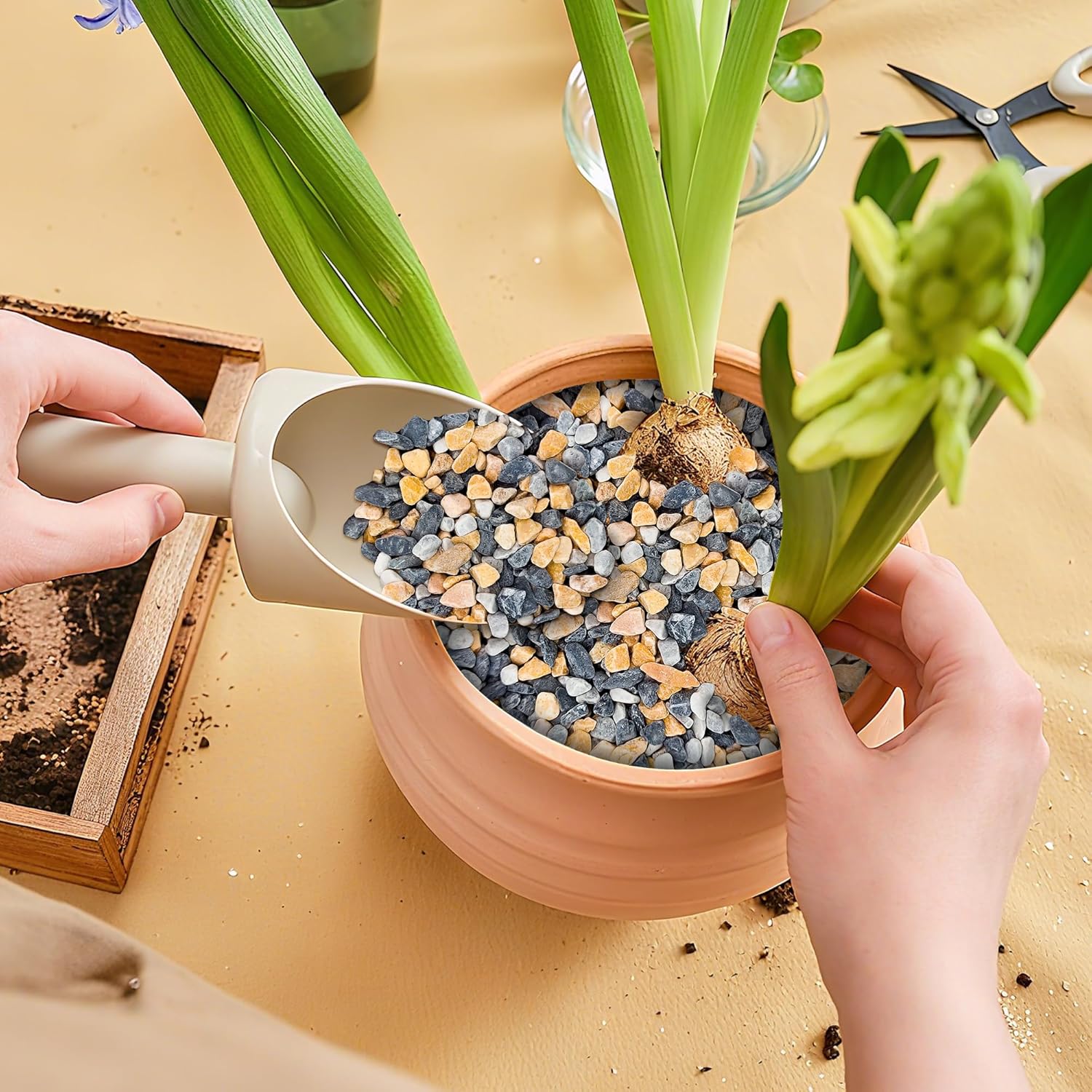 1.1LB Natural Gravel Pebbles, 1/4 Inch Gravel Stones for Succulent and Cactus, Aquariums, Terrarium, Vases and Indoor Outdoor Gardening,Colorful - Hình 5