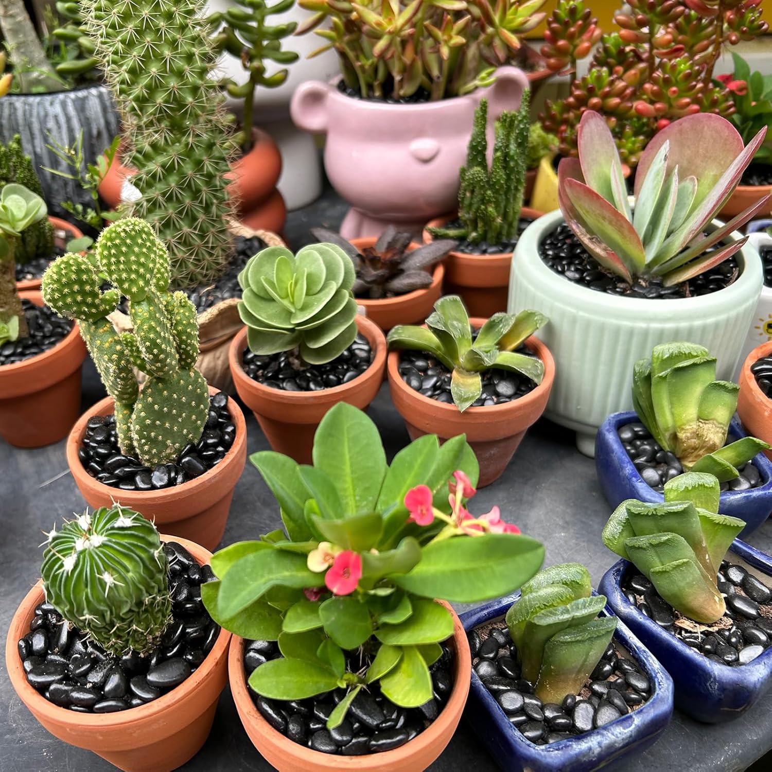 Mulctun 2lb Black Rocks for Planters- 1/4" - 3/4" Polished Black Stones Smooth Flat Pebbles for Fish Tanks Decorative River Rocks for Vases Bonsai Pots Garden Stones for Landscaping and Yards - Hình 4