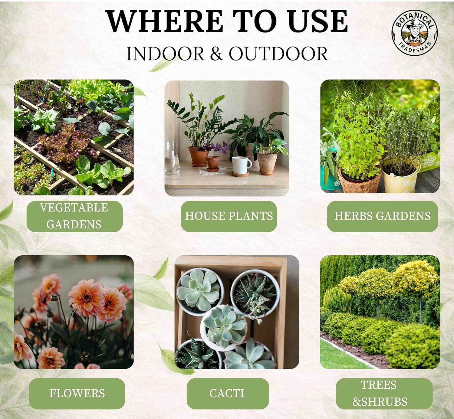 Neem Oil – 100 ml Pure, Cold-Pressed, Plant-Based Oil for Indoor & Outdoor Plant Care, DIY Mixing Concentrate - Hình 5