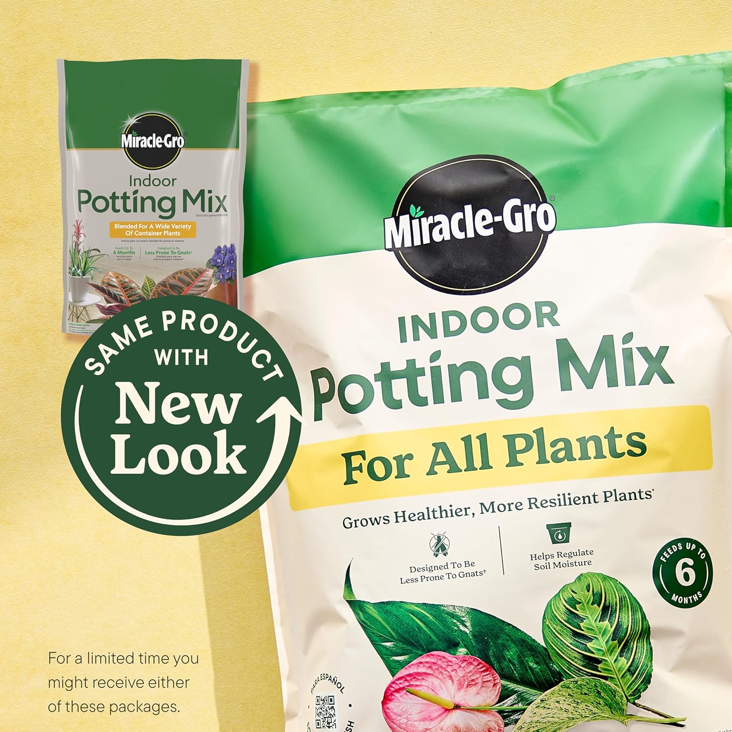 Miracle-Gro Indoor Potting Mix, Blended for a Variety of Houseplants, Feeds for up to 6 Months, 6 qt., 2-Pack - Hình 3