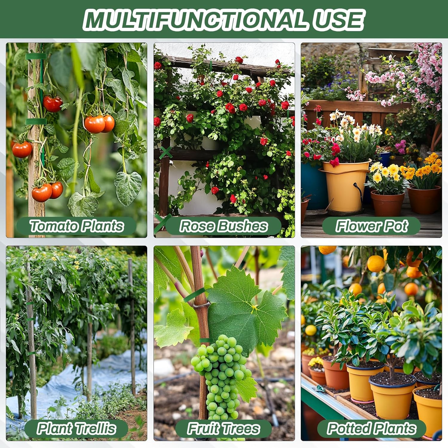 MAQIHAN Plant Tape - 1 Roll Plant Supports for Growing Reusable Adjustable Cut-to-Length 0.47 in x 32.8 ft Indoor Outdoor Use Ideal for Gardening, Tomato, Rose Bushes, Fruit Trees, Green - Hình 6